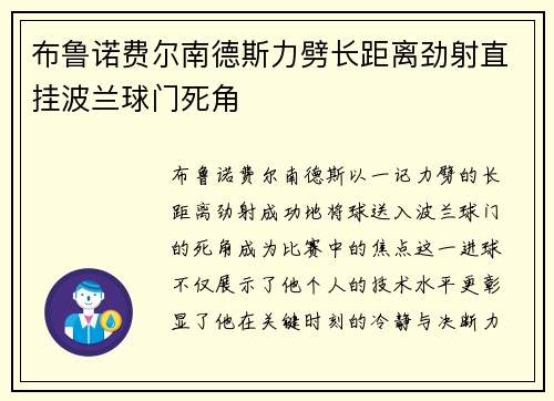 布鲁诺费尔南德斯力劈长距离劲射直挂波兰球门死角